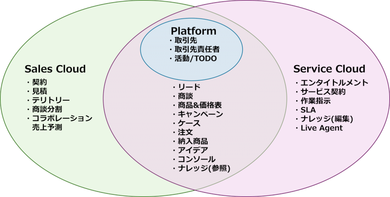 salesforce license